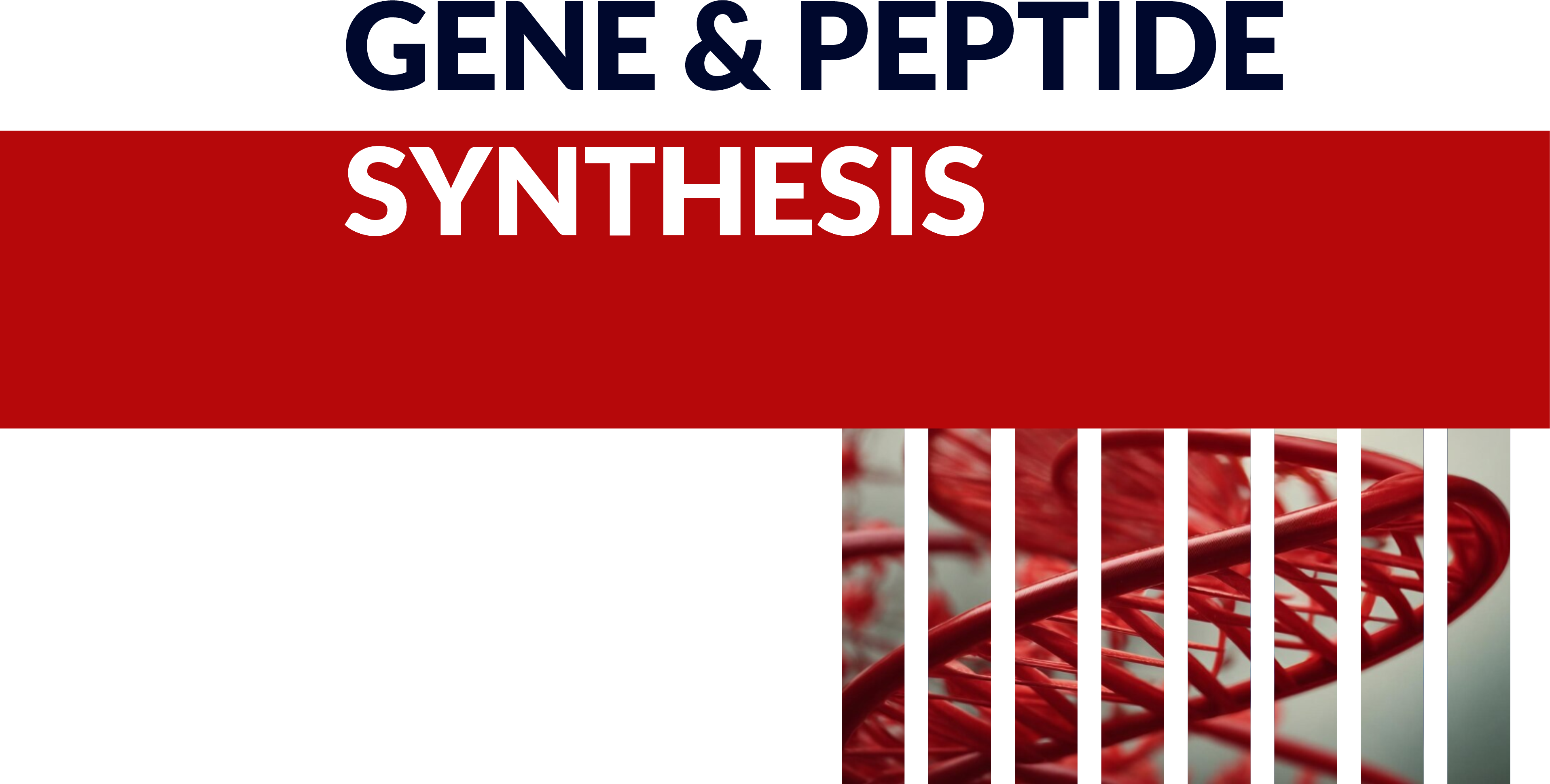 سنتز ژن و پپتید