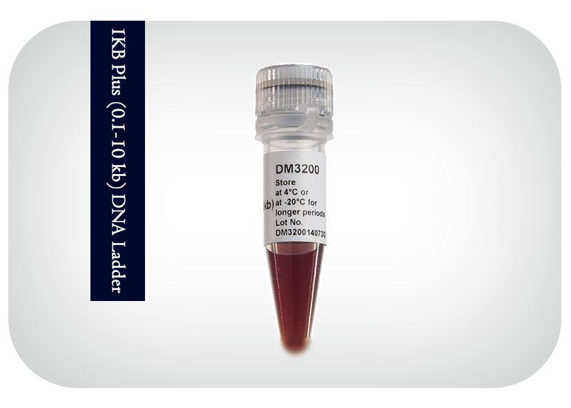 1KB Plus (0.1-10 kb) DNA Ladder