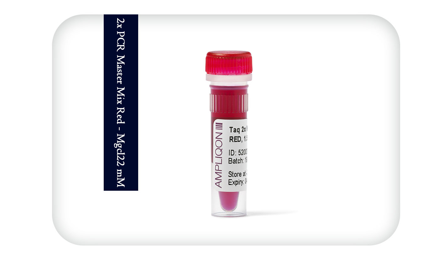 2x PCR Master Mix Red - Mgcl22 mM